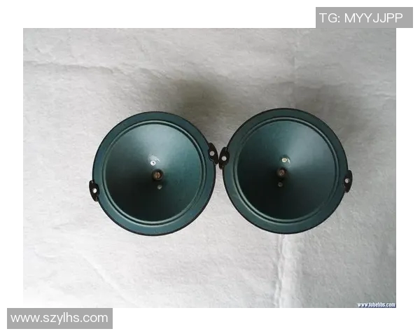 沙巴音响与80功放的完美结合探索音质提升的秘密与技巧