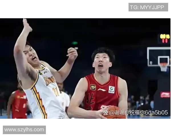 灰熊与奇才激战正酣比分胶着引发球迷热议