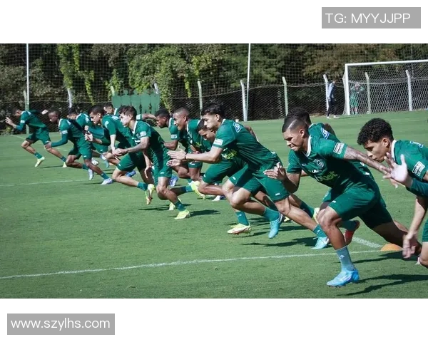 巴西国际主场迎战戈亚斯球迷期待精彩对决与激烈竞争