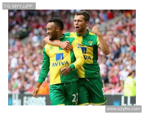 诺维奇与狼队对决前瞻分析双方状态及战术布局展望