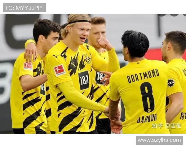 多特蒙德与弗莱堡精彩对决直播全程回顾与分析