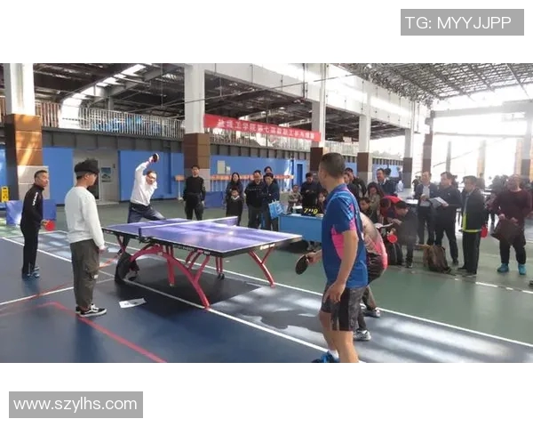 对话杨军：回顾乒乓球生涯的辉煌与挑战分享