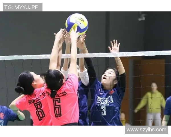 权威发布：2023年排球比赛选手实力与经验综合排行榜揭晓