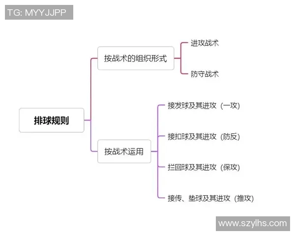 重庆排球队战术对比深度解析与未来发展趋势探讨